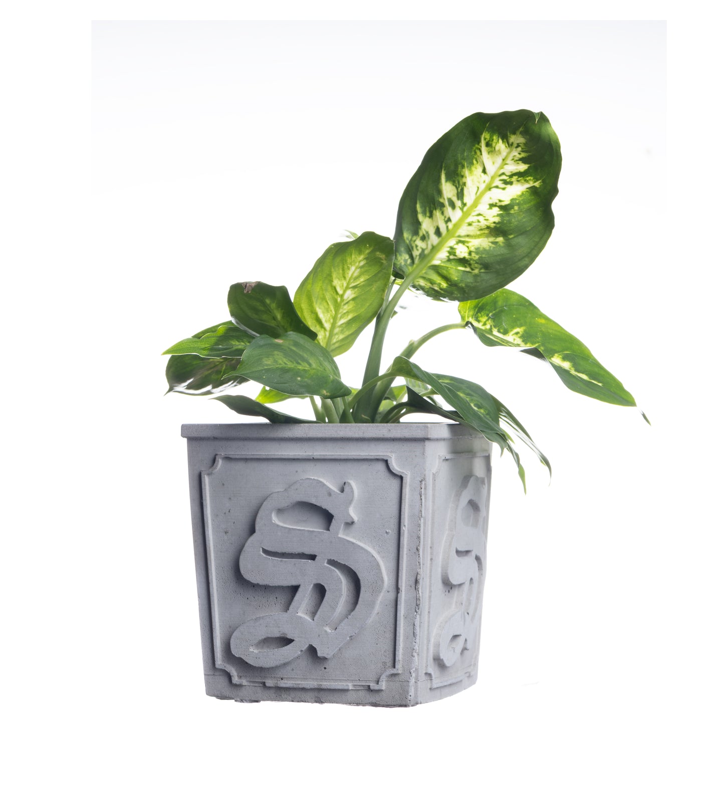 CONCRETE PLANTER