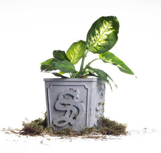 CONCRETE PLANTER